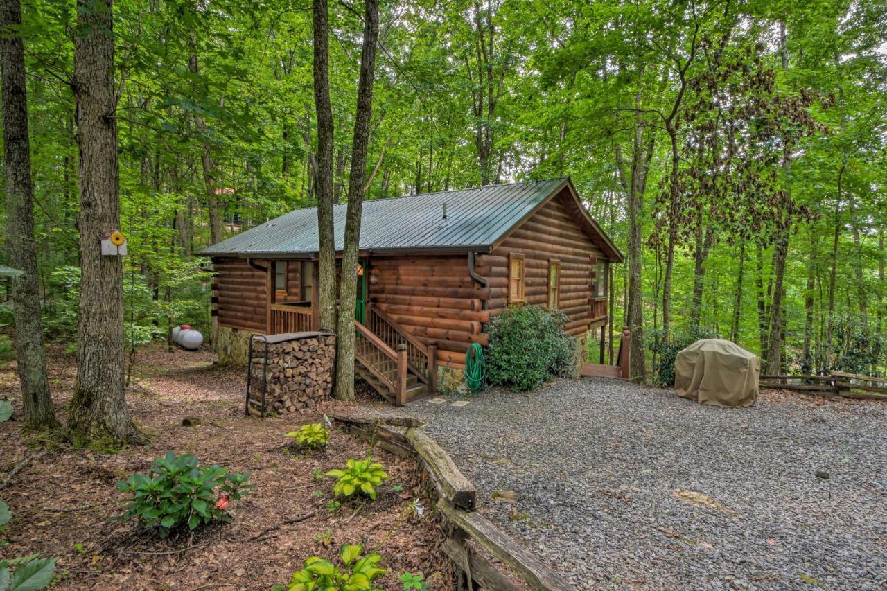 Pinot And Pine Chic Log Cabin About 5 Mi To Blue Ridge Εξωτερικό φωτογραφία